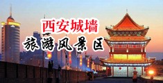 大粗鸡巴日小逼视频中国陕西-西安城墙旅游风景区