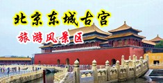 进去啊啊操受不了视频中国北京-东城古宫旅游风景区